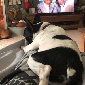 Meet your Posher, Julie